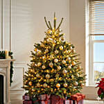 Golden Glow Tree 4 To 5 Feet