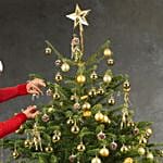 Golden Glow Christmas Tree 6 To 7 Feet
