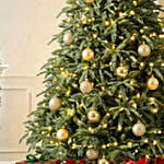 Royal Us Noblis Fir Christmas Tree 5 To 6 Feet
