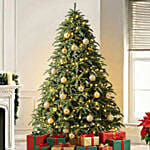 Royal Us Noblis Fir Christmas Tree 6 To 7 Feet