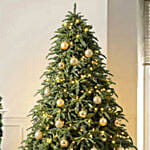 Royal Us Noblis Fir Christmas Tree 6 To 7 Feet