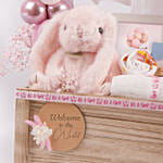 Welcome Baby Girl Celebration Hamper