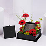 Cerruti 1881 Alessia Gold plated Bracelet Gift tray for Her