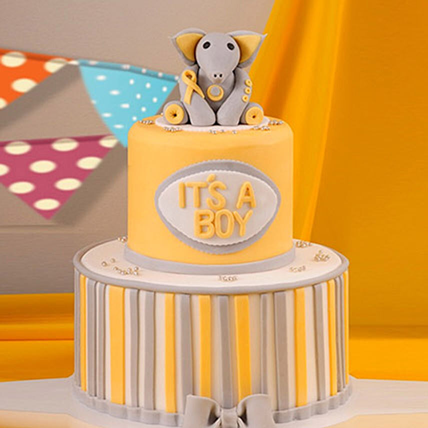 Elephant Theme Baby Shower Cake 12 Portions Vanilla