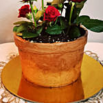 Chocolate Cake With 6 Red Roses- 1.5 Kg