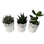 3 Assorted Green Plants In Beautiful Metallic Pots