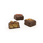 Pecan Belgian Chocolates Box Large