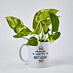 Money Plant In Happy Birthday Mug