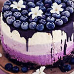 Blueberry Drip Chessecake