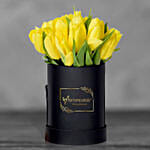 Tulip In A Box