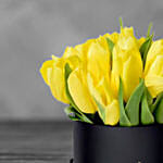 Tulip In A Box