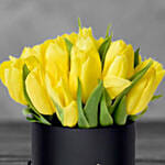 Tulip In A Box