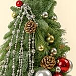 Festive Nobulus Arrangement