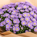 Aster Flowers Bouquet
