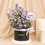Birthday Wishes Aster Flowers Black Box