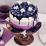 تشيز كيك بلو بيري حجم واحد كيلو مميز ولذيذ