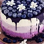 تشيز كيك بلو بيري حجم واحد كيلو مميز ولذيذ