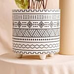 Calathea Plant In Otantik Brown Vase