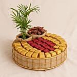 Chamaedorea Plant With Chocolate Basket