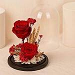 Dried Flowers Red Forever Roses