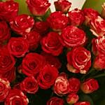 Dual Color Spray Rose Bouquet