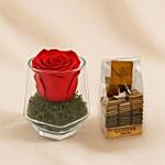 Eternal Charm Forever Rose N Godiva Chocolate