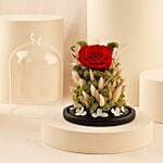 Forever Rose Red Rose Dome