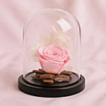 Graceful Pink Forever Rose