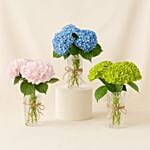 Hydrangea Trio Beauty Set