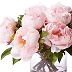 Light Pink Peonies