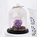 Mothers Day Combo Forever Rose With Cushion n Mug