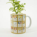 New Year Gifts Nerve Plant Mug