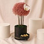 Pink Gypso Beautiful Arrangement With Ferrero Rocher