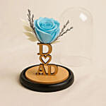 Preserved Blue Rose Dome Gift for Fathers Day