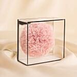 Preserved Carnation Mirror Box