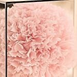 Preserved Carnation Mirror Box