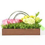 Ravishing Pink Roses Tray Arrangement