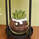 Scindapsus And Echeveria Plant Stand