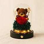 Teddy N Forever Rose Glass Dome