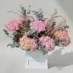 Valley of Enchantment Box