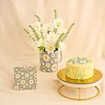 White Chrysanthemum Flower And Mini Cake Combo