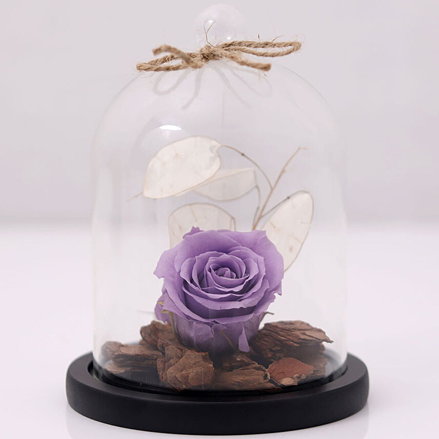 Forever Rose In Glass Dome- Purple