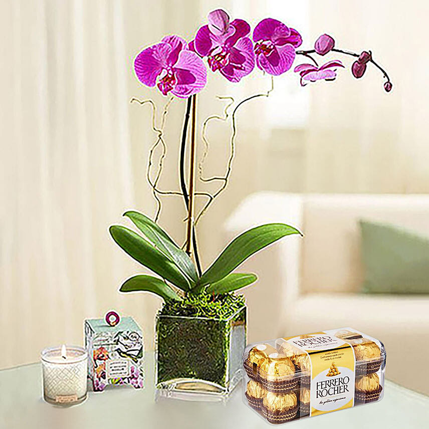 Purple Orchid With Ferrero Rocher