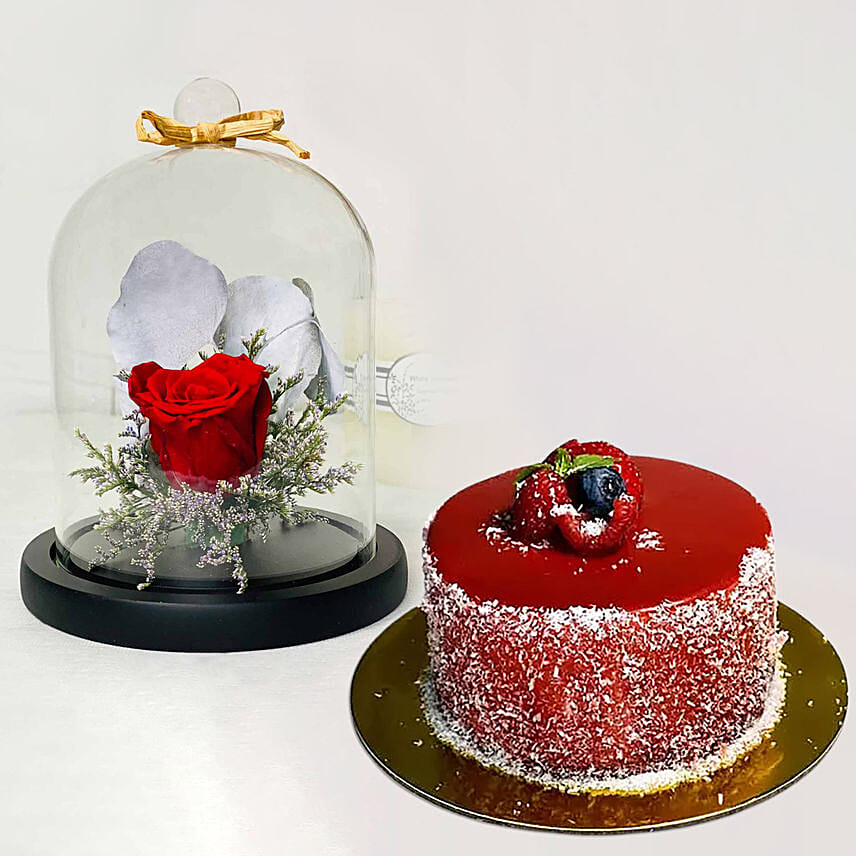 Red Forever Rose In Glass Dome With Mini Mousse Cake