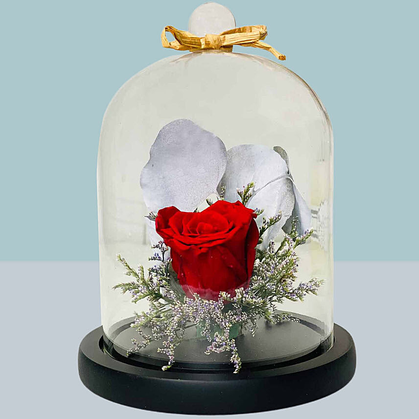 Single Beautiful Red Forever Rose In Glass Dome For Valentines