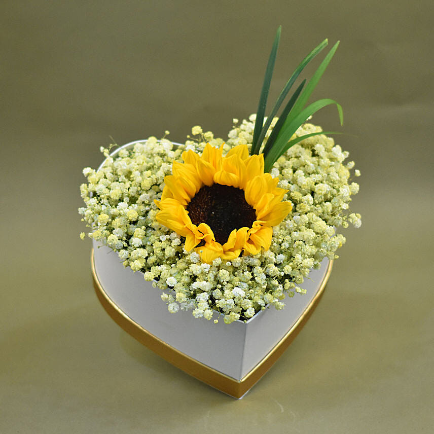 Baby Breath & Sunflower Heart Shaped Box Arrangement