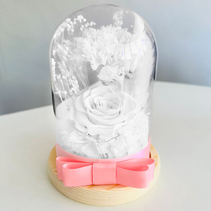 Vday White Forever Roses in Dome
