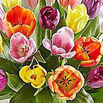 20 Mixed Tulips In Glass Vase