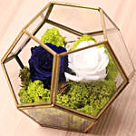 Blue And White Roses In a Designer Base