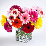 Elegant Gerberas In Glass Vase